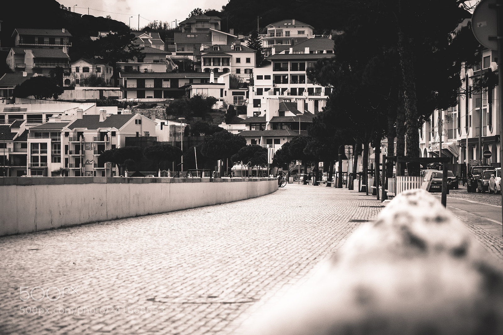 Nikon D7500 sample photo. São martinho photography