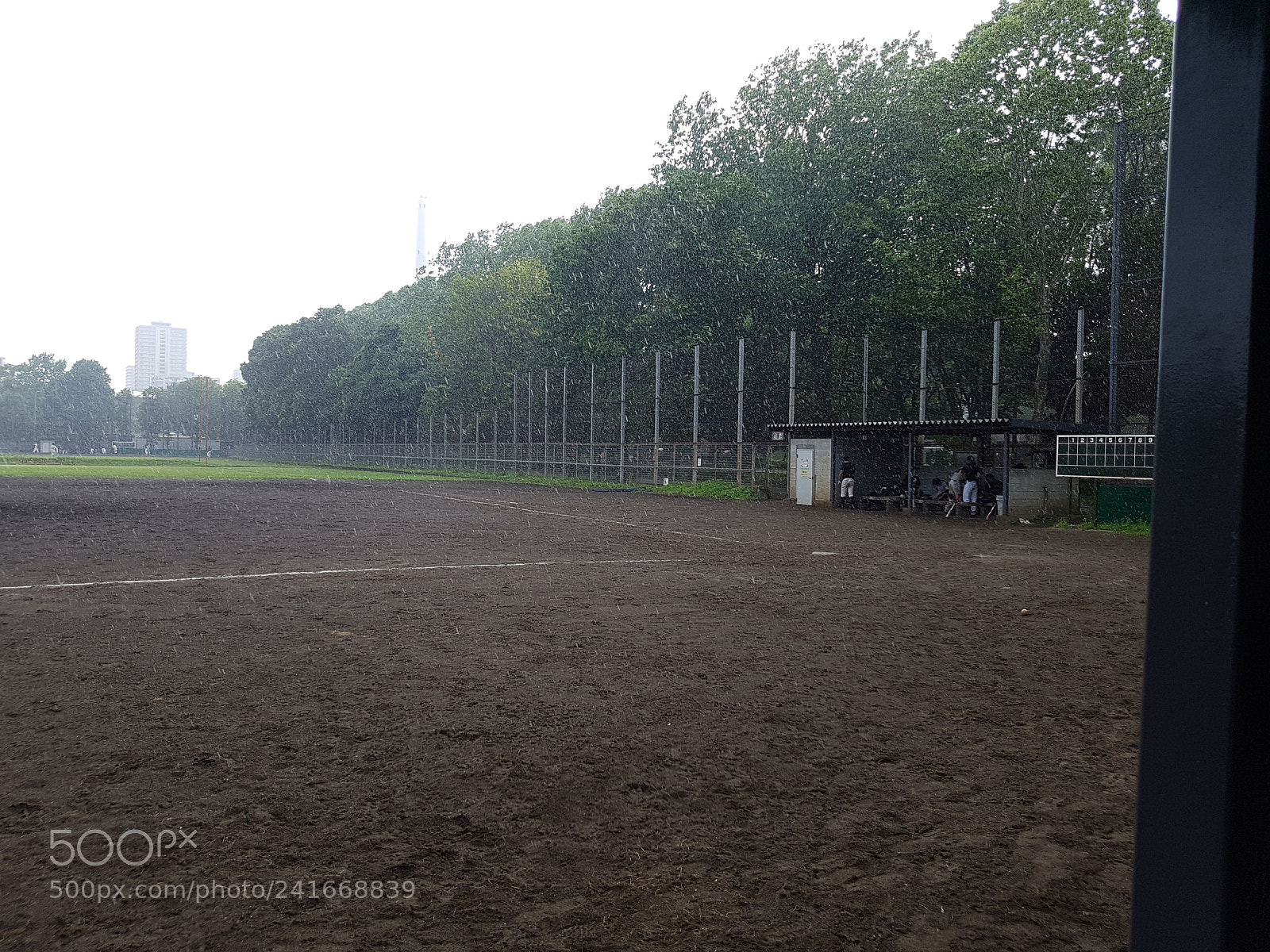 Samsung Galaxy S7 Edge sample photo. 20160731_142220.jpg photography