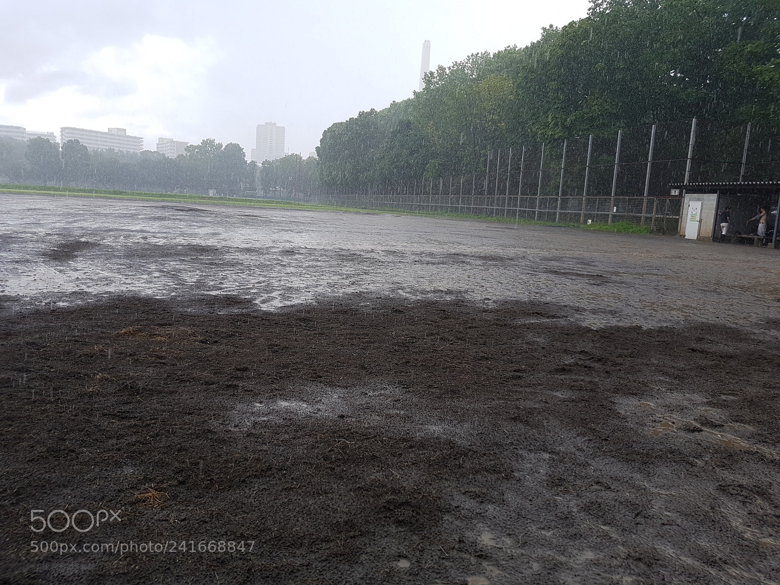 Samsung Galaxy S7 Edge sample photo. 20160731_142701.jpg photography