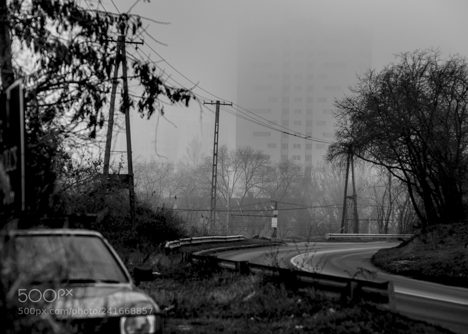 Nikon D700 sample photo. Foggy morning.. photography