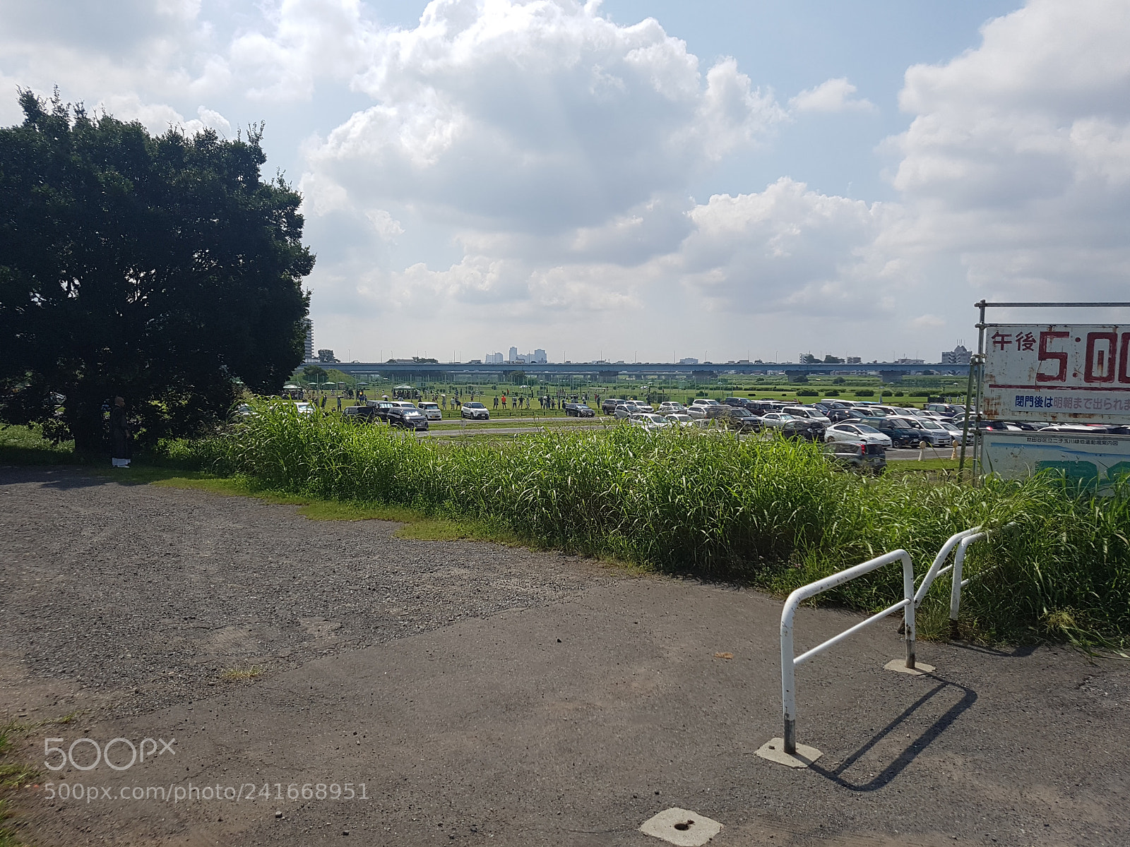 Samsung Galaxy S7 Edge sample photo. 20160806_093718.jpg photography