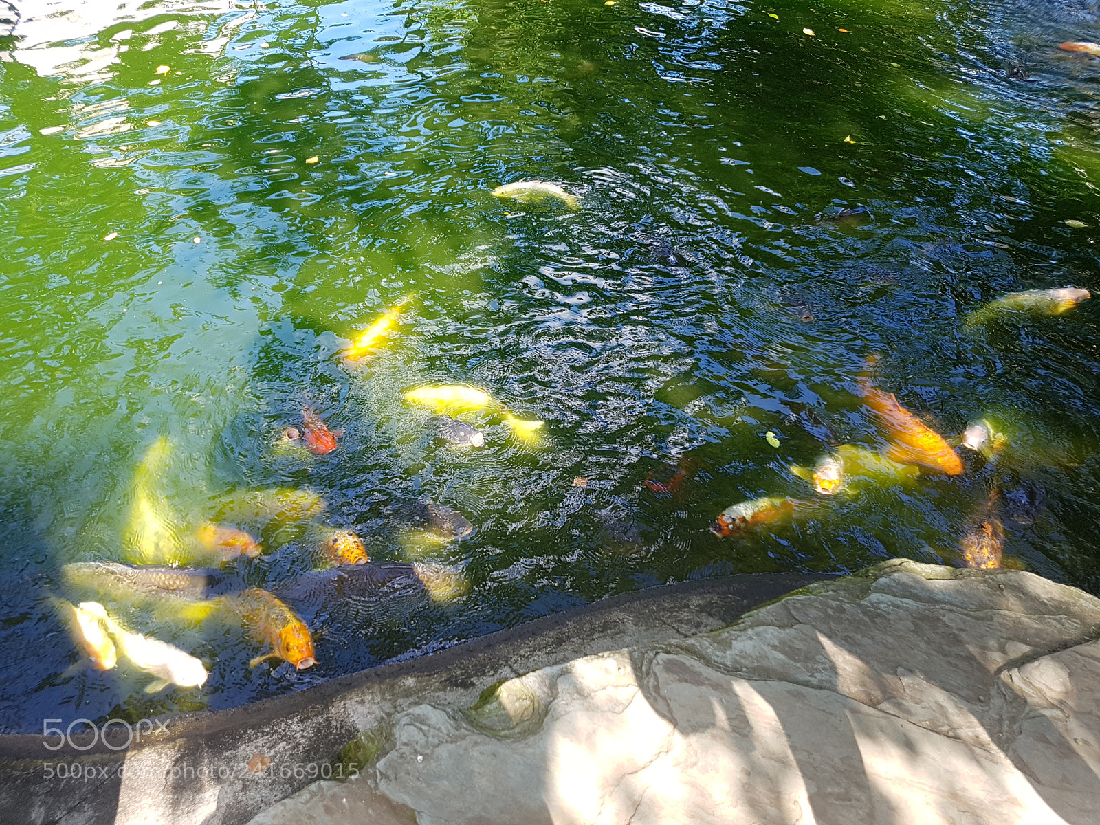 Samsung Galaxy S7 Edge sample photo. 20160807_151140.jpg photography