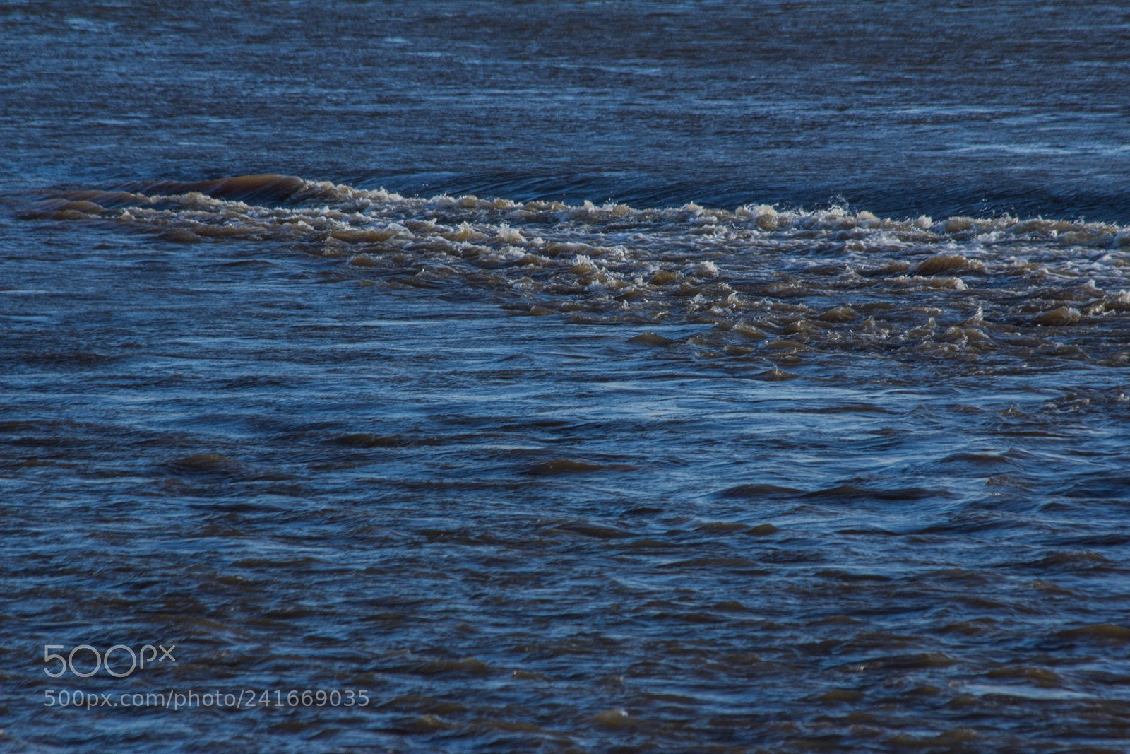 Canon EOS 60D sample photo. Flooding near nijmegen (nl) photography