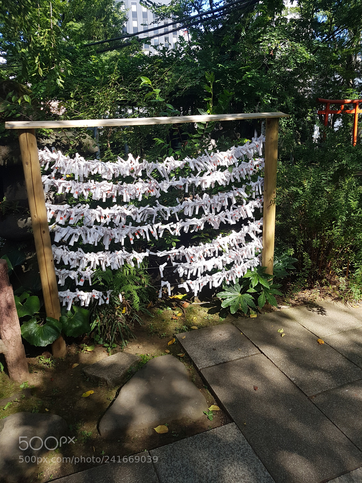 Samsung Galaxy S7 Edge sample photo. 20160807_151226.jpg photography