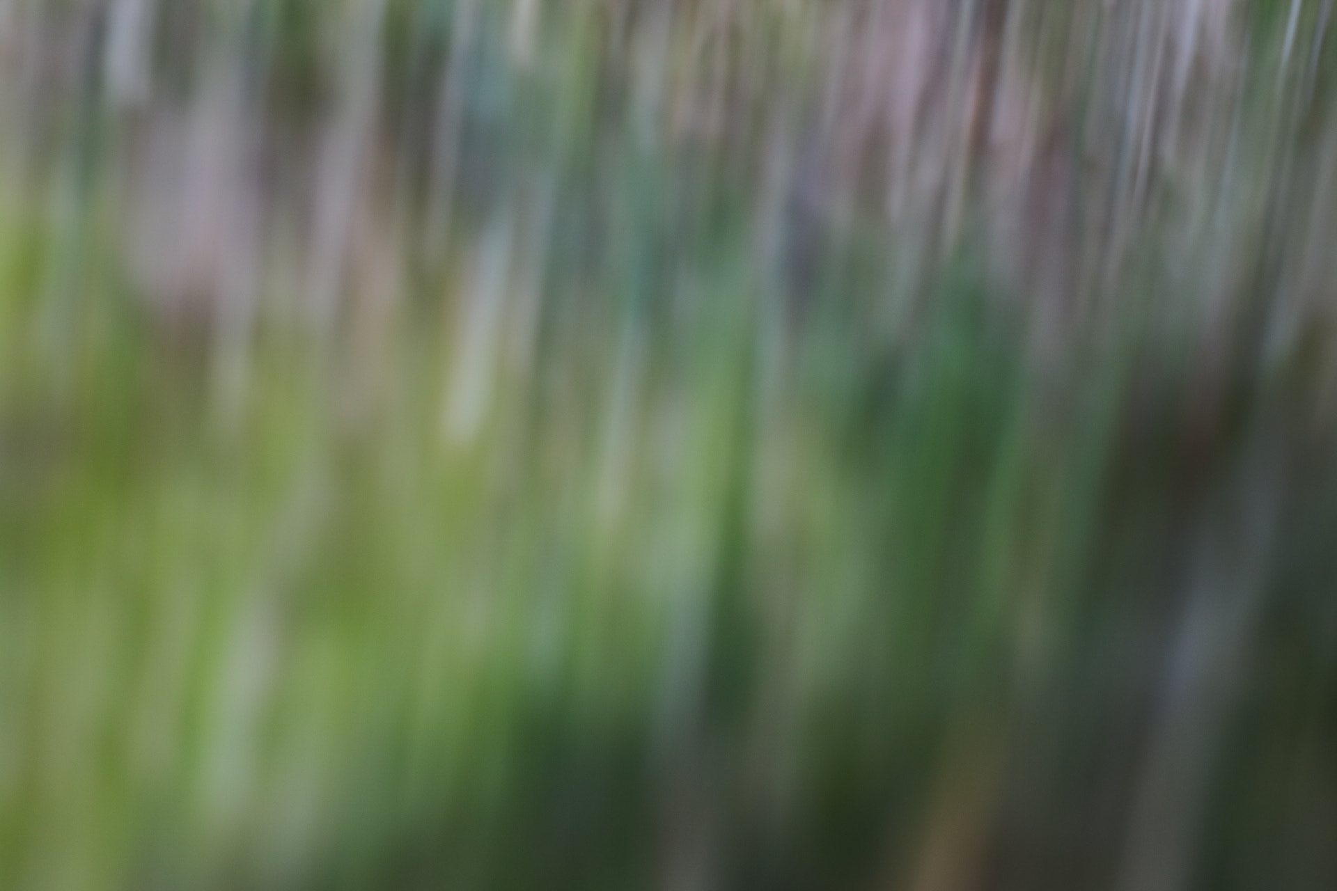 Canon 50mm sample photo. Art photography
