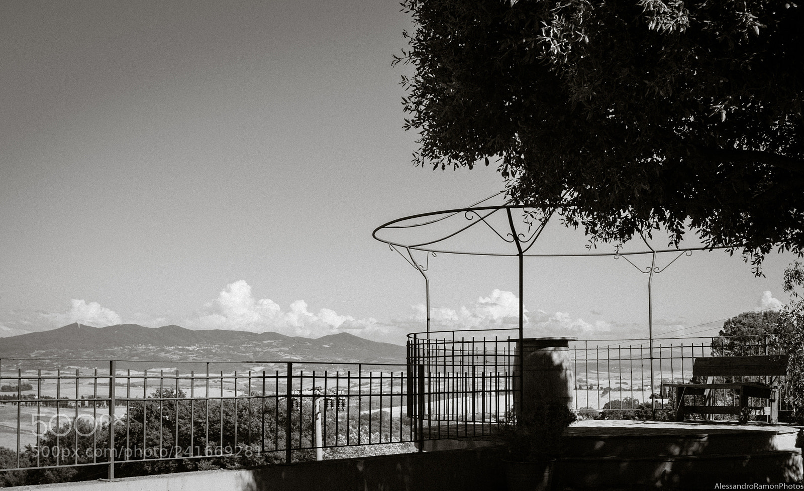 Nikon D5500 sample photo. The simple things photography