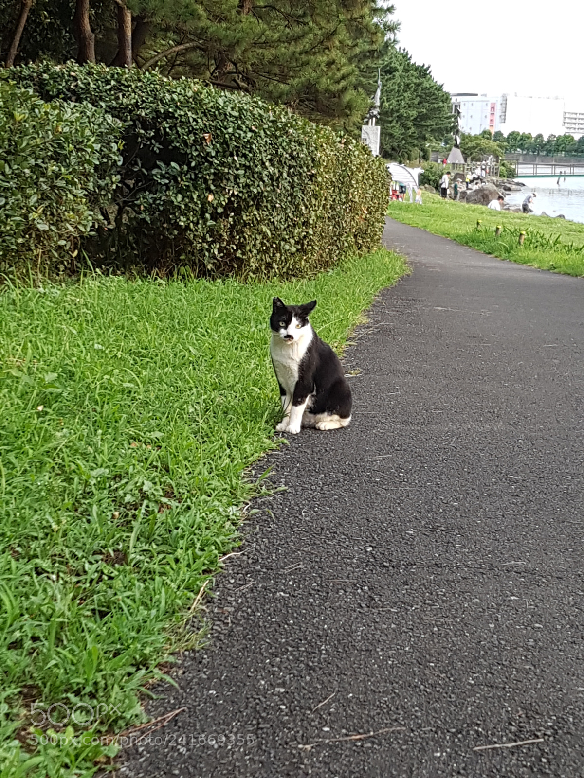Samsung Galaxy S7 Edge sample photo. 20160821_175041.jpg photography