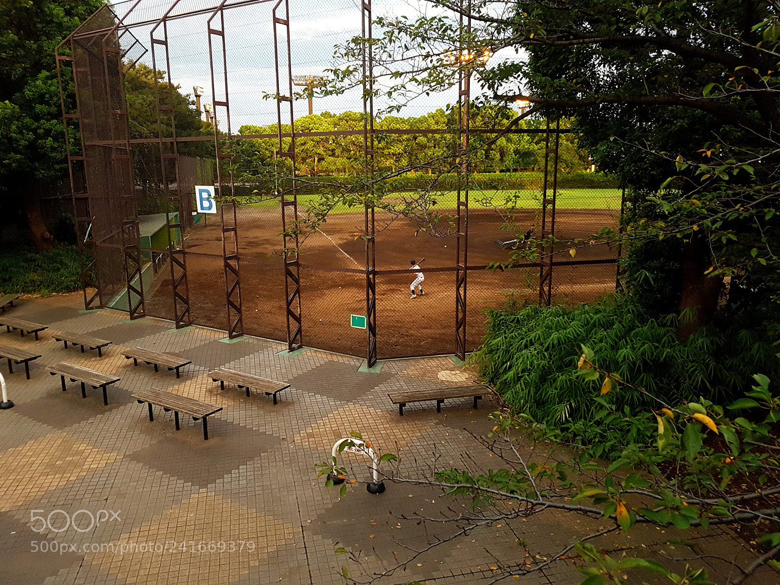 Samsung Galaxy S7 Edge sample photo. 20160821_175816.jpg photography