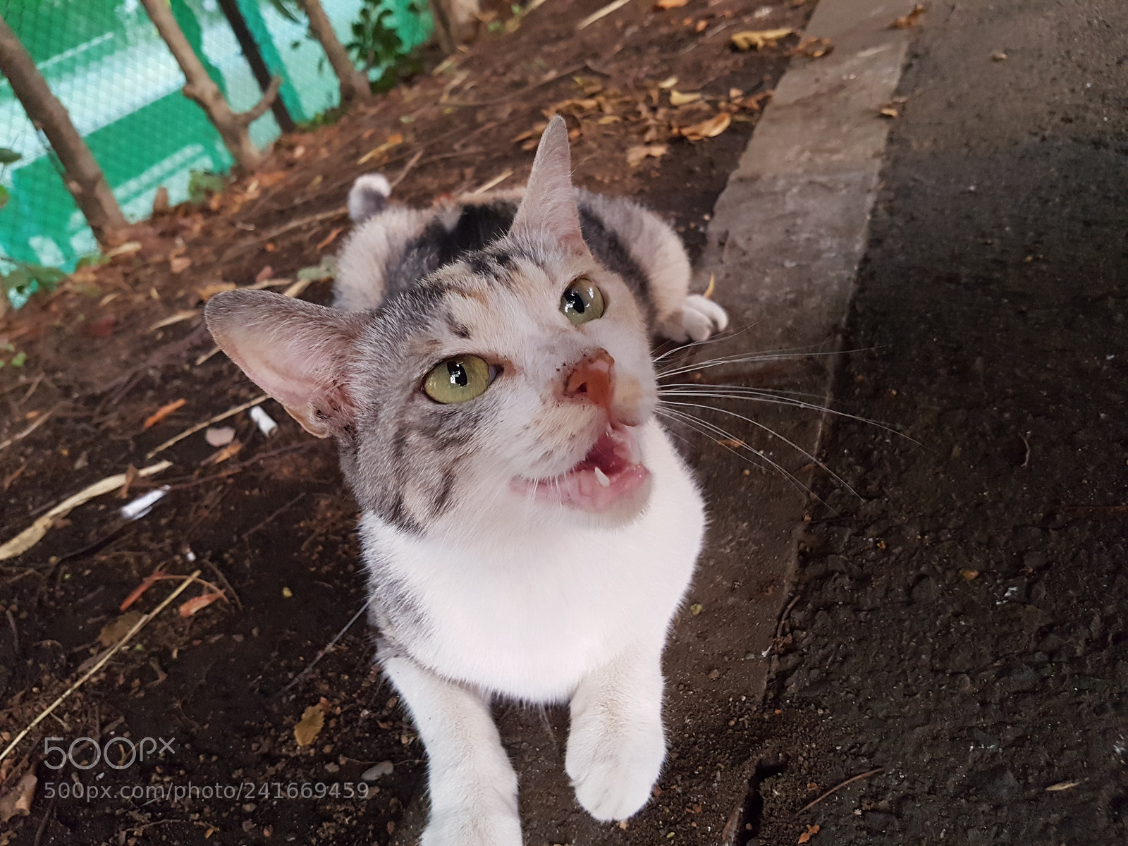 Samsung Galaxy S7 Edge sample photo. 20160821_181218.jpg photography