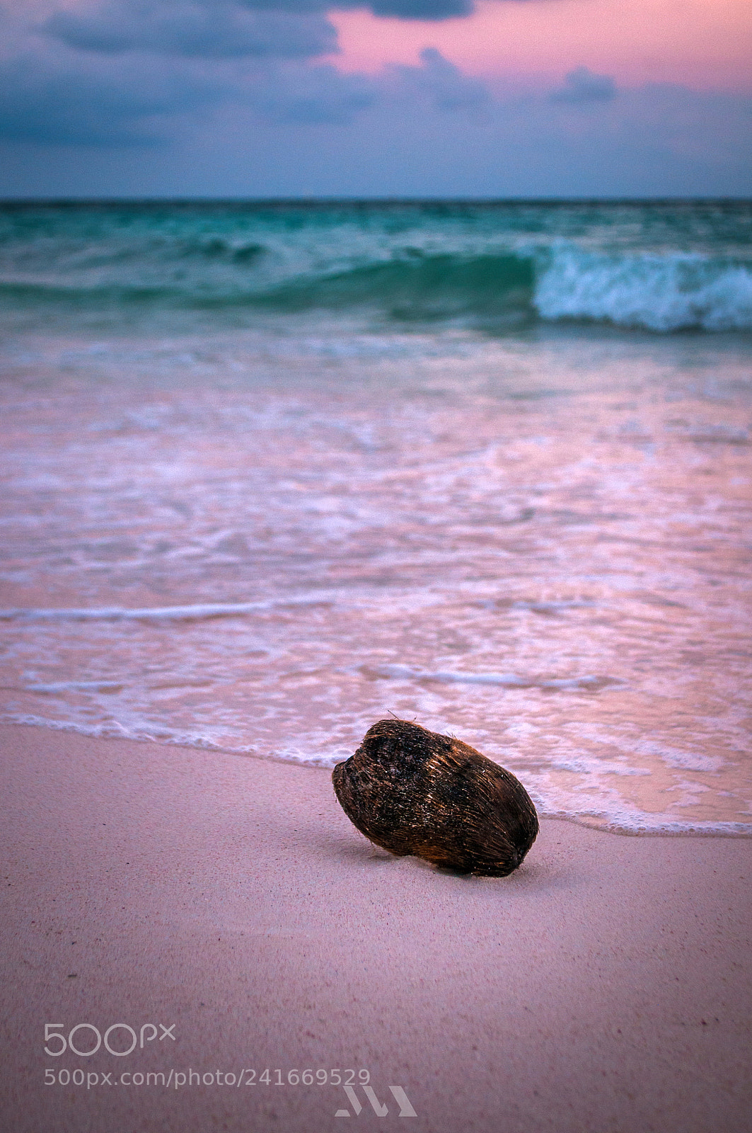 Nikon D300 sample photo. Lonely photography