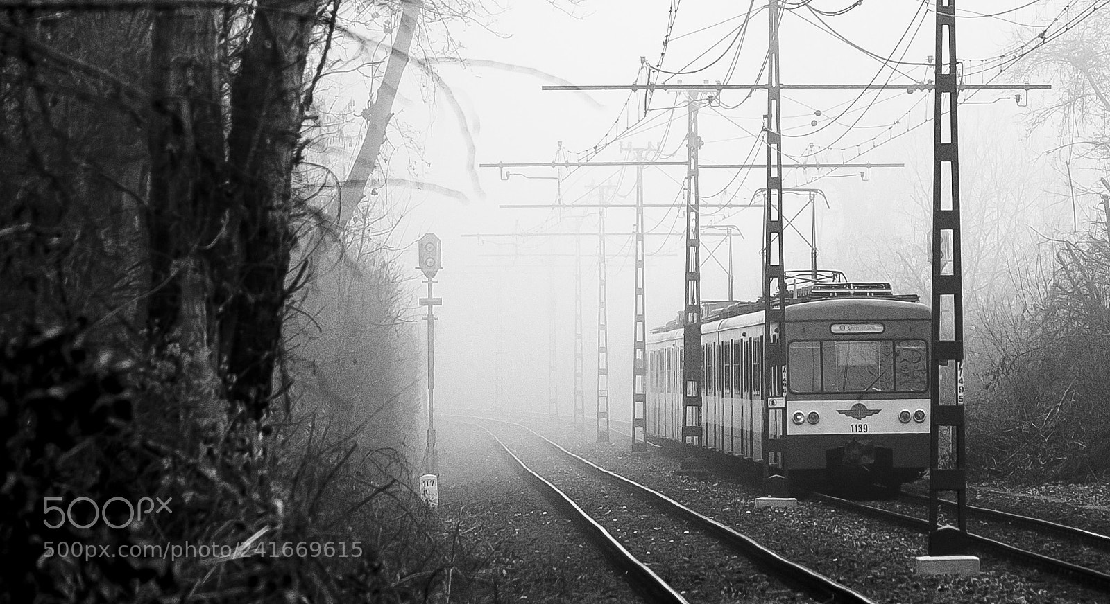 Nikon D700 sample photo. Foggy morning.. photography