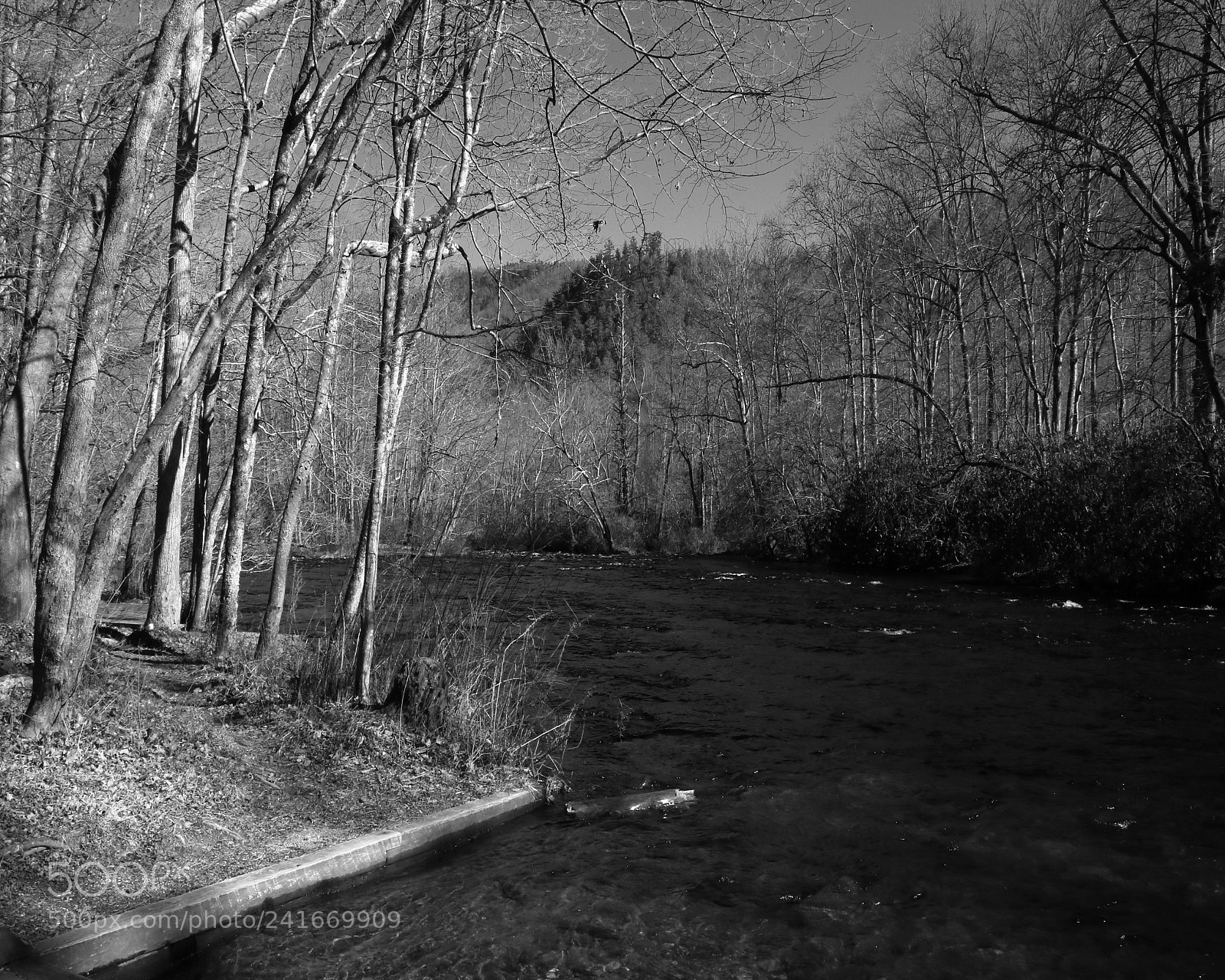 Canon EOS 77D (EOS 9000D / EOS 770D) sample photo. Nantahala river photography