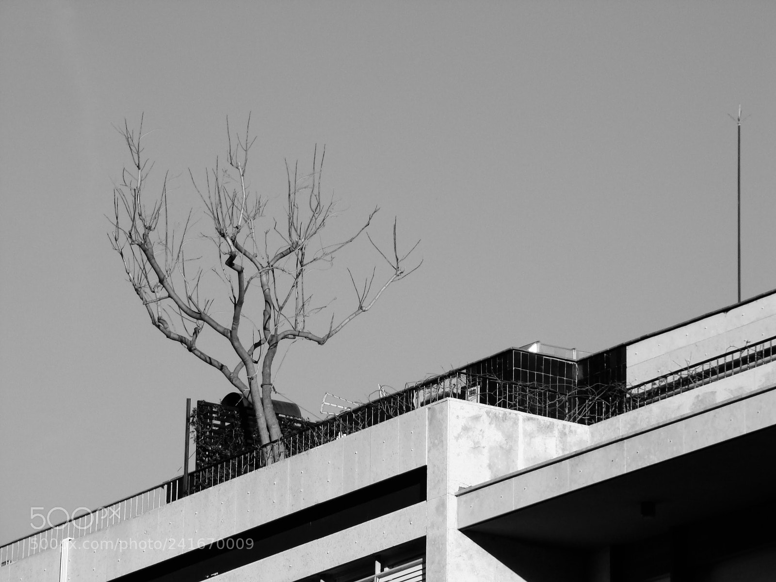 Sony DSC-H9 sample photo. Jardí aéreo photography