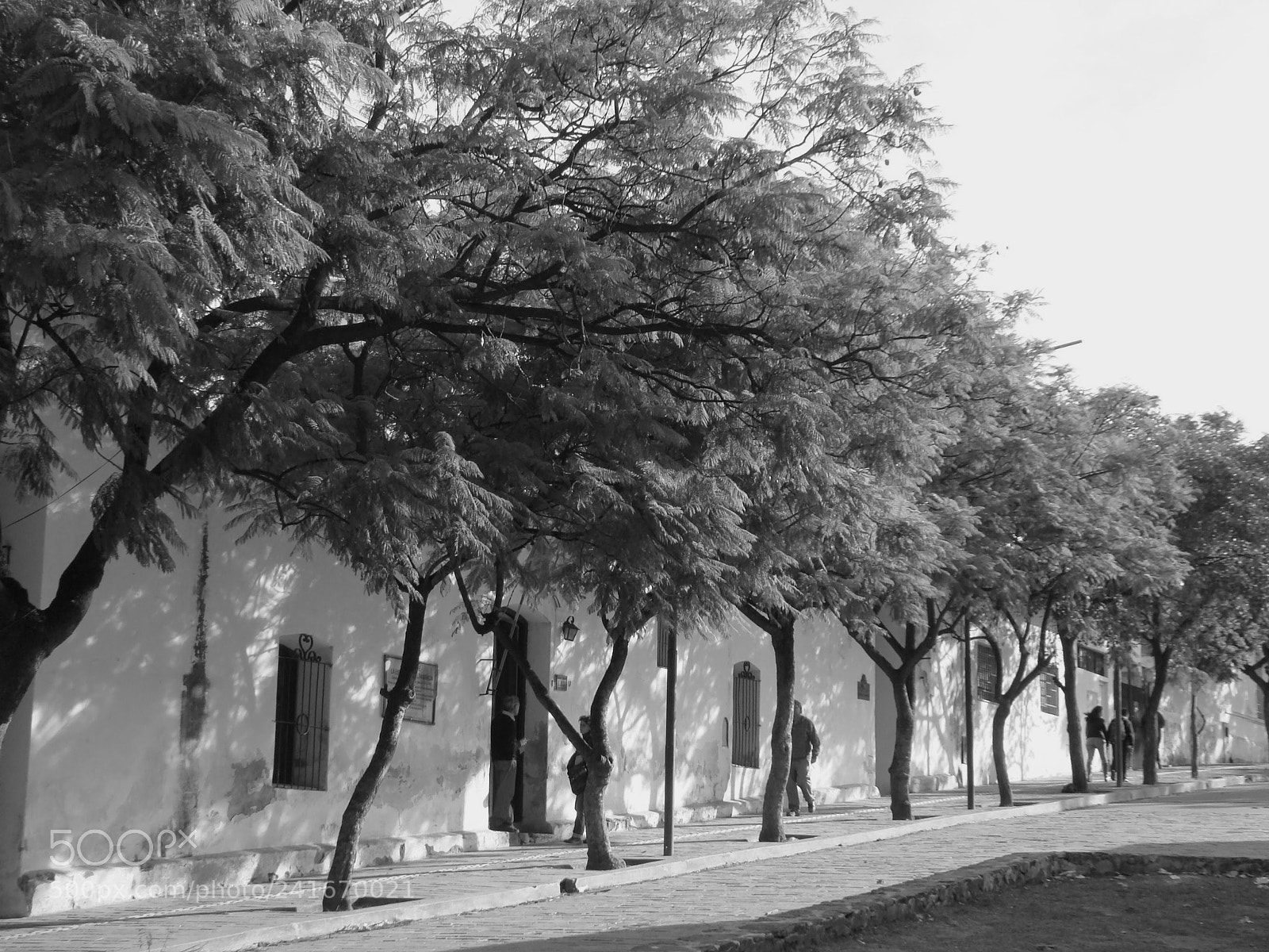 Sony DSC-H9 sample photo. El otro colegio photography