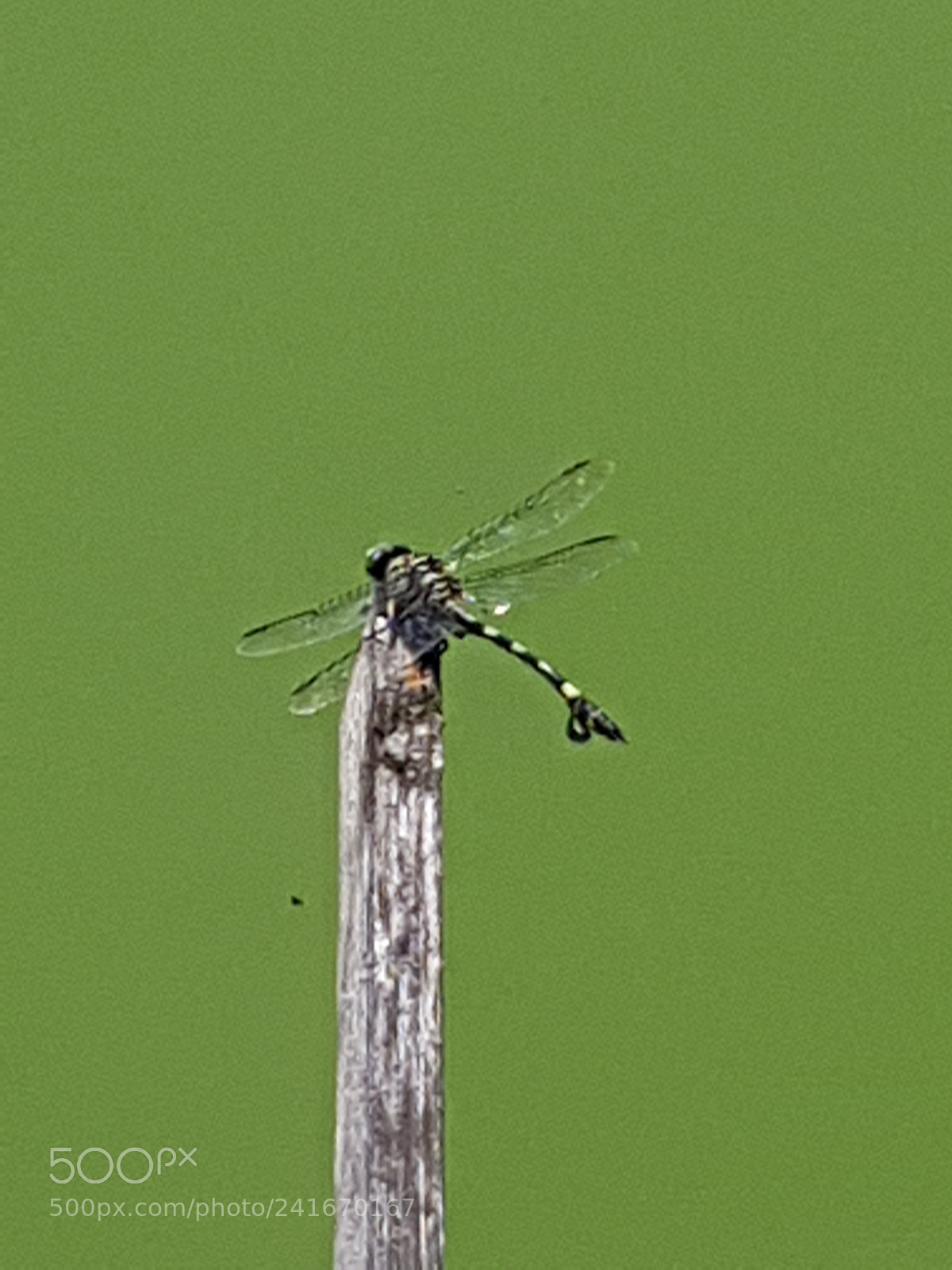 Samsung Galaxy S7 Edge sample photo. 20160729_141257.jpg photography