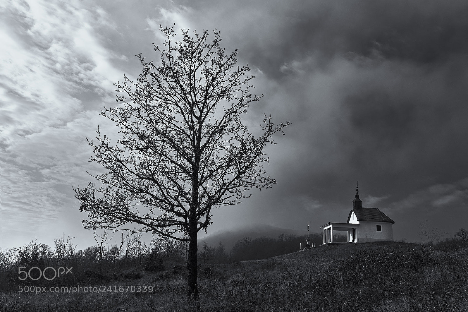 Nikon D810 sample photo. Breaking the darkness photography