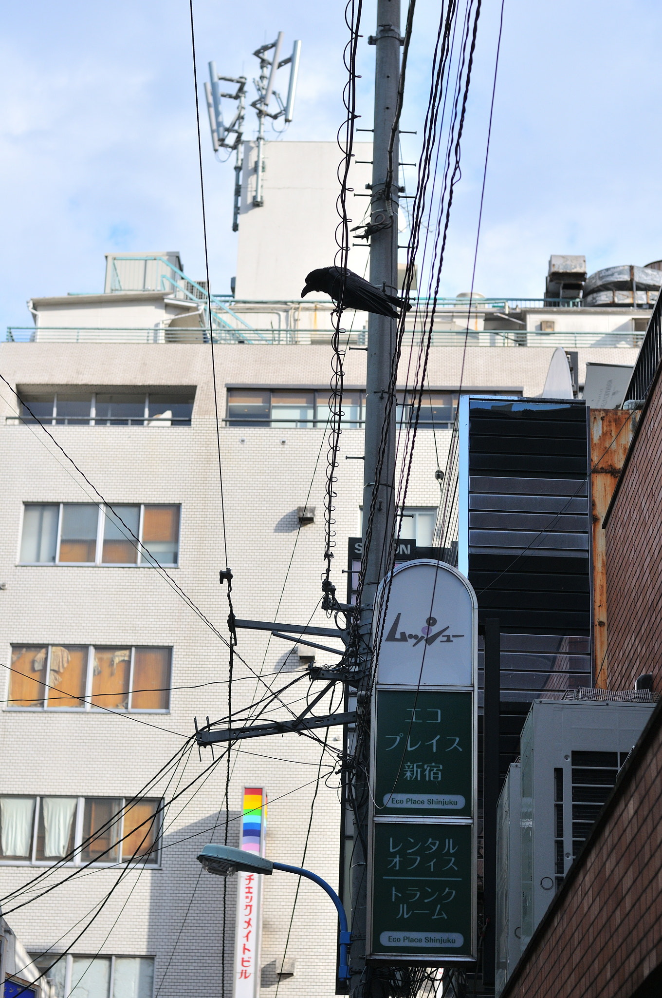 Nikon D300 + Nikon AF Nikkor 50mm F1.4D sample photo. Shinjuku, tokyo photography