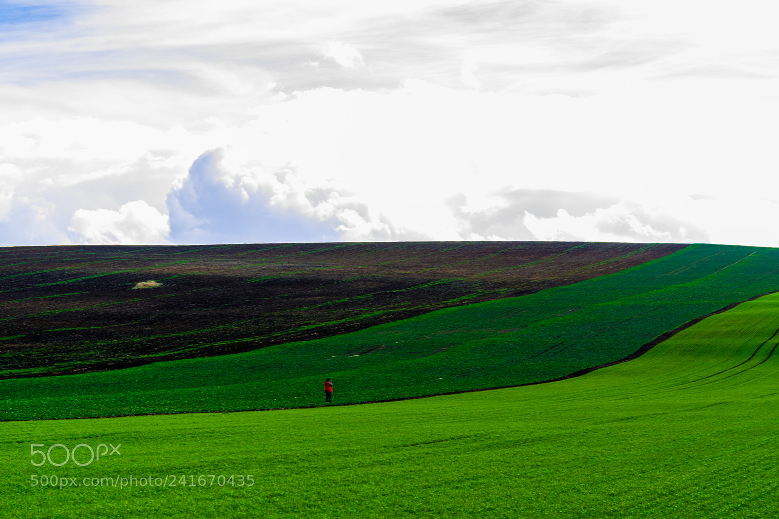 Nikon D7100 sample photo. Between the sky and photography