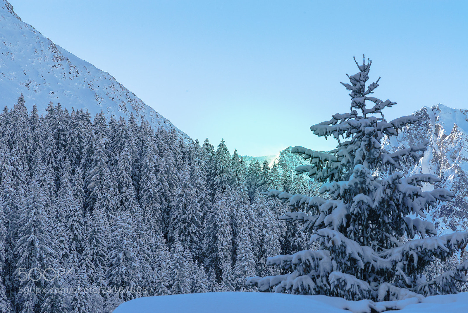 Sony a7S II sample photo. Snow everywhere photography