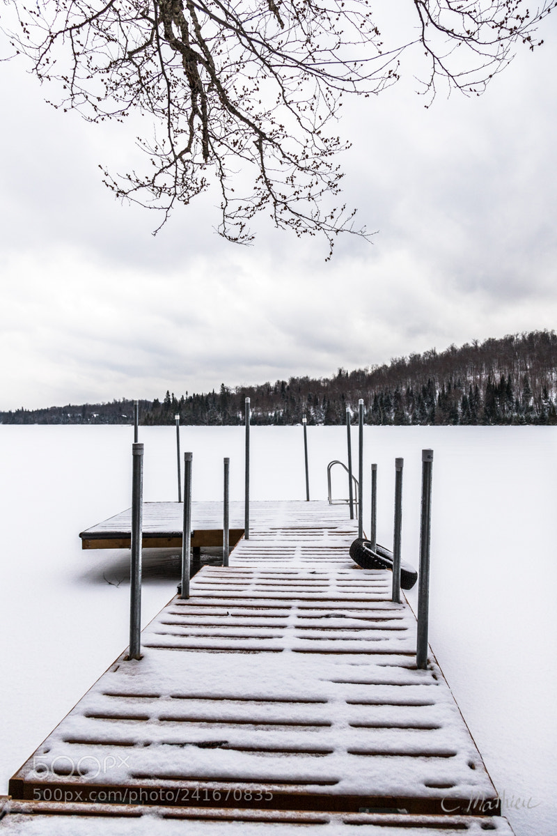 Canon EOS 6D Mark II sample photo. Dock on lac quenouille photography