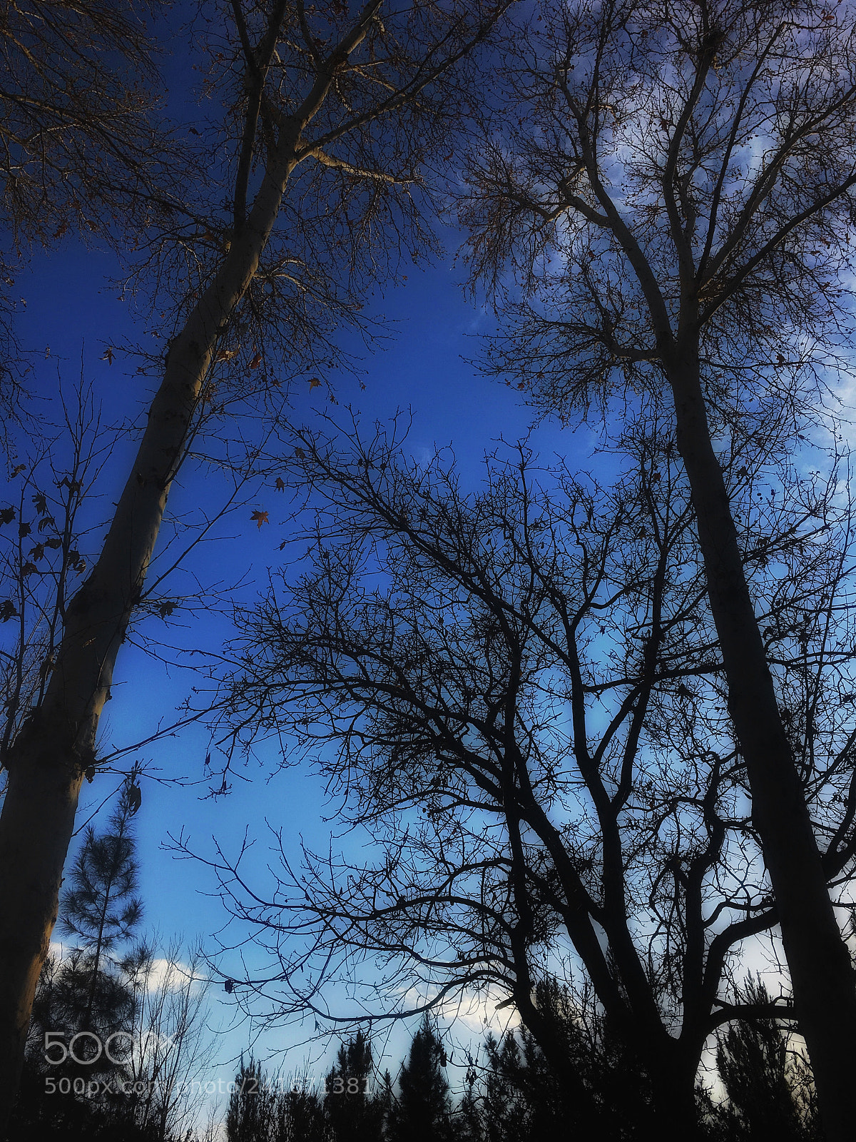 Apple iPhone 6s sample photo. Untitled photography
