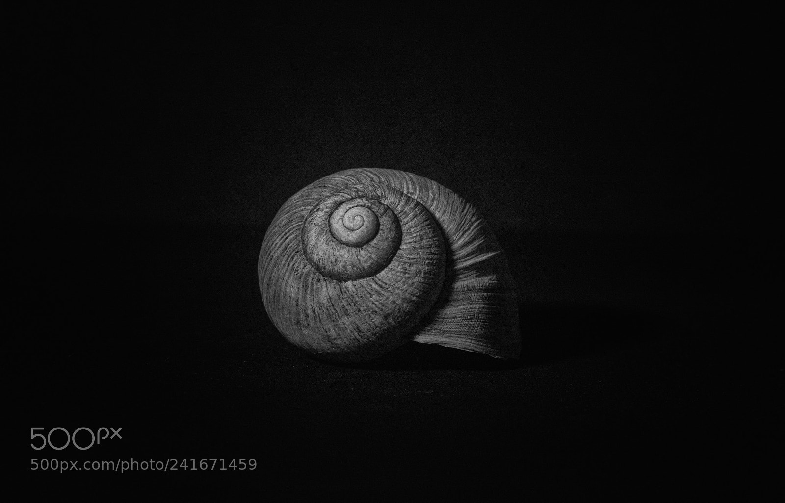 Nikon D7200 sample photo. Naturally photography