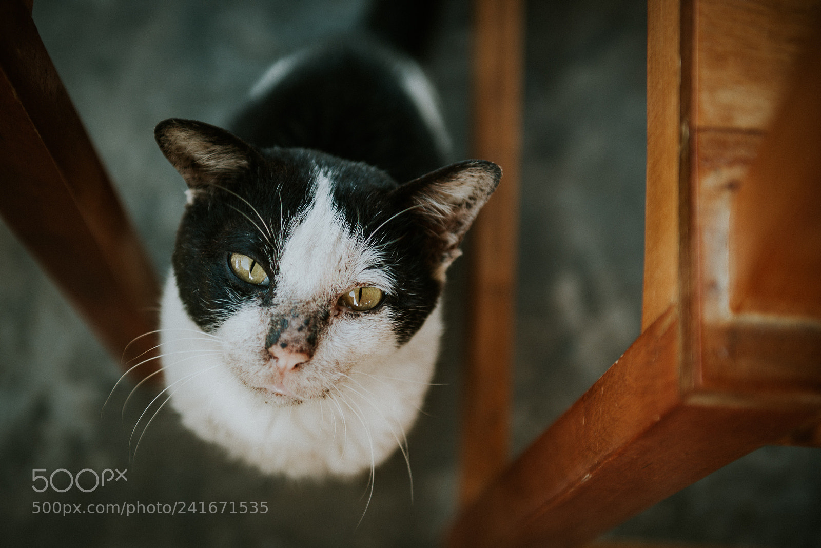 Nikon D800E sample photo. C photography