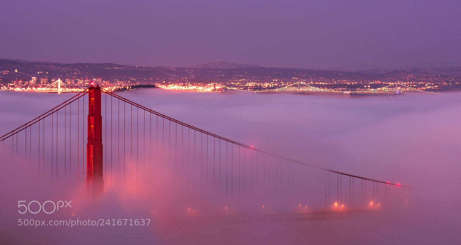 Nikon D810 sample photo. Golden gate bridge fog photography