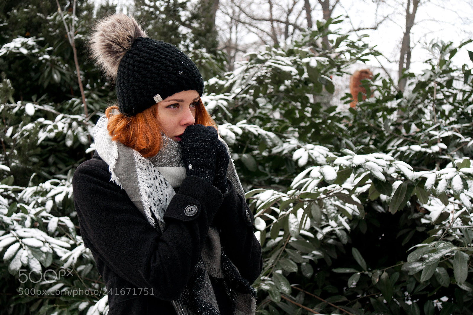 Sony Alpha DSLR-A700 sample photo. Frozen photography