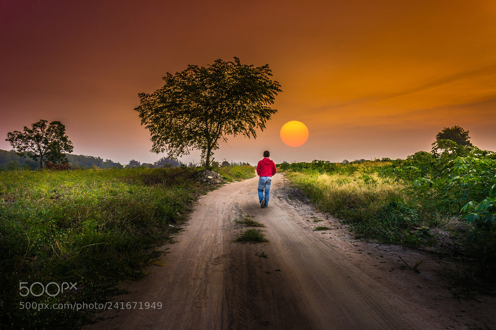 Sony Alpha NEX-5 sample photo. Man walking alone at photography