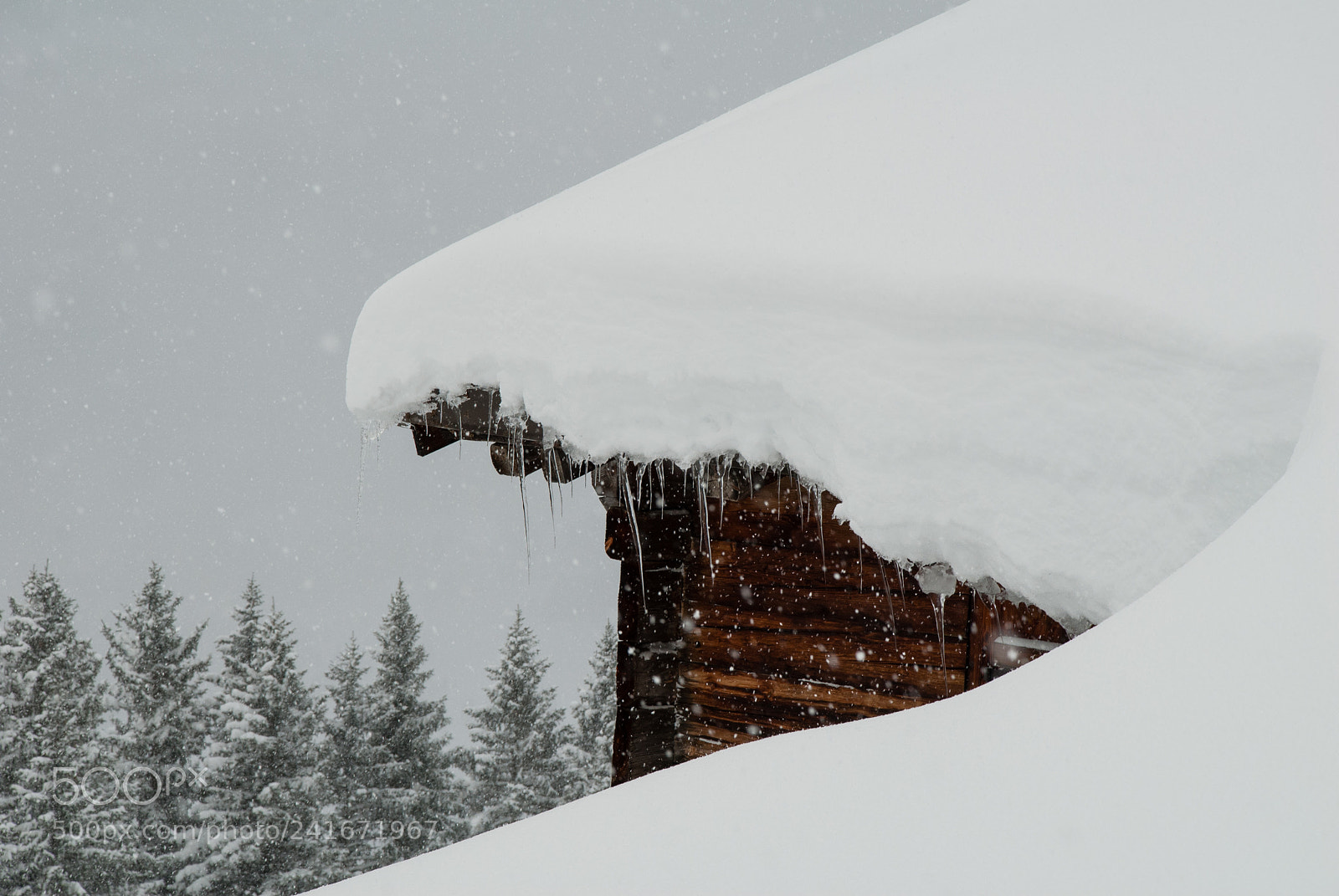 Nikon D200 sample photo. Winter photography