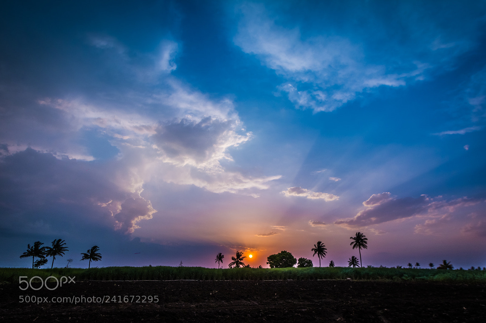 Nikon D7100 sample photo. Paradise of nature photography