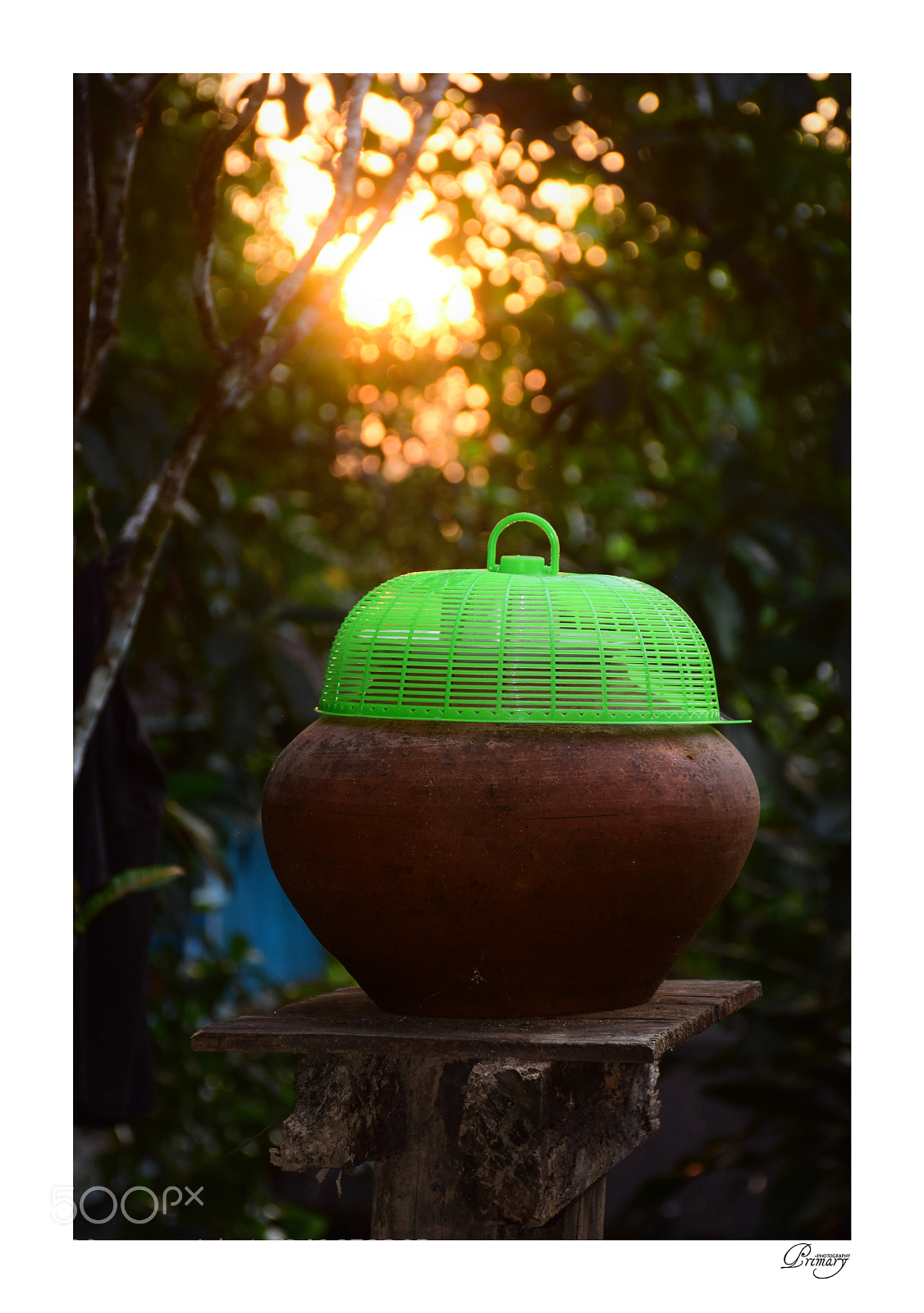Nikon D7200 sample photo. Untitled photography