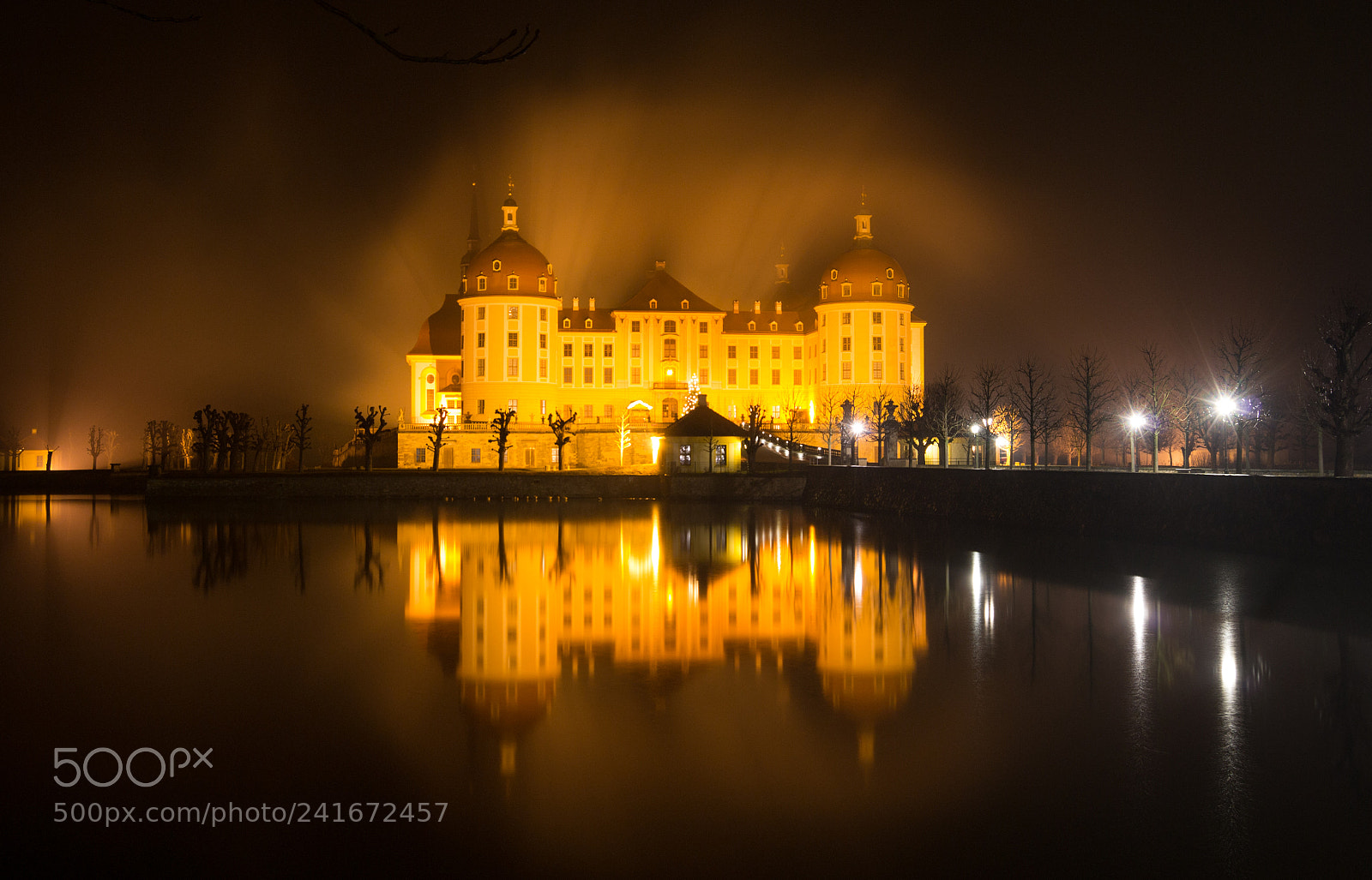 Nikon D3100 sample photo. Castle and fog photography
