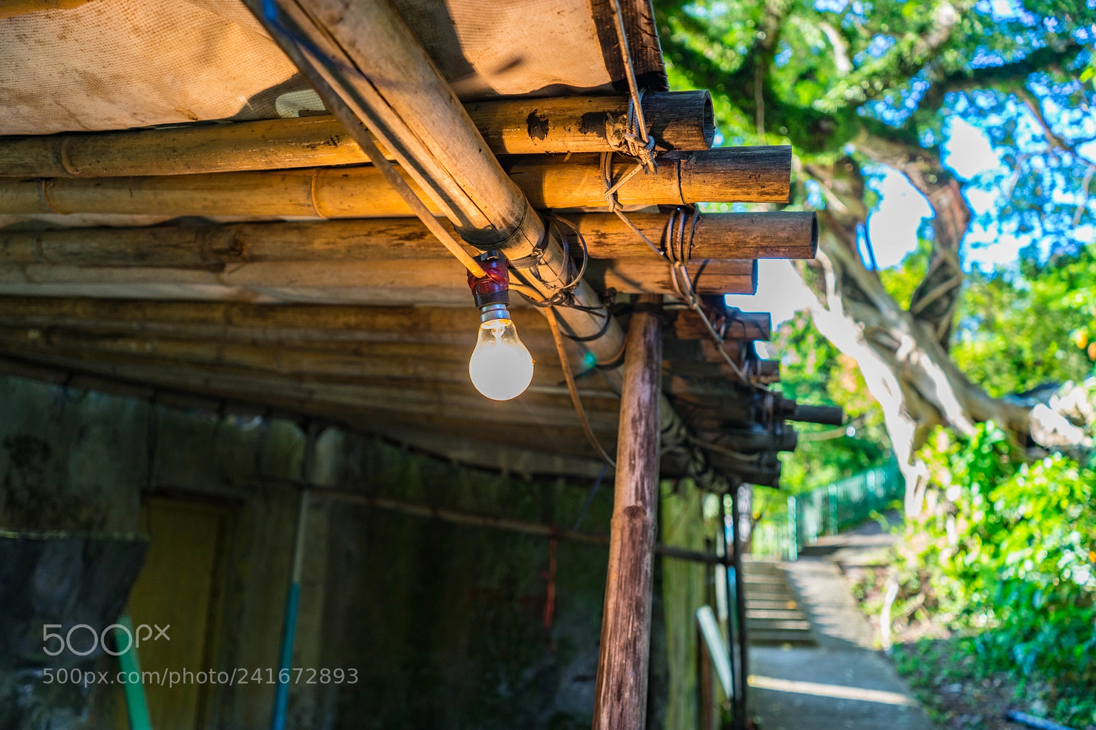 Sony a7 II sample photo. Dsc photography