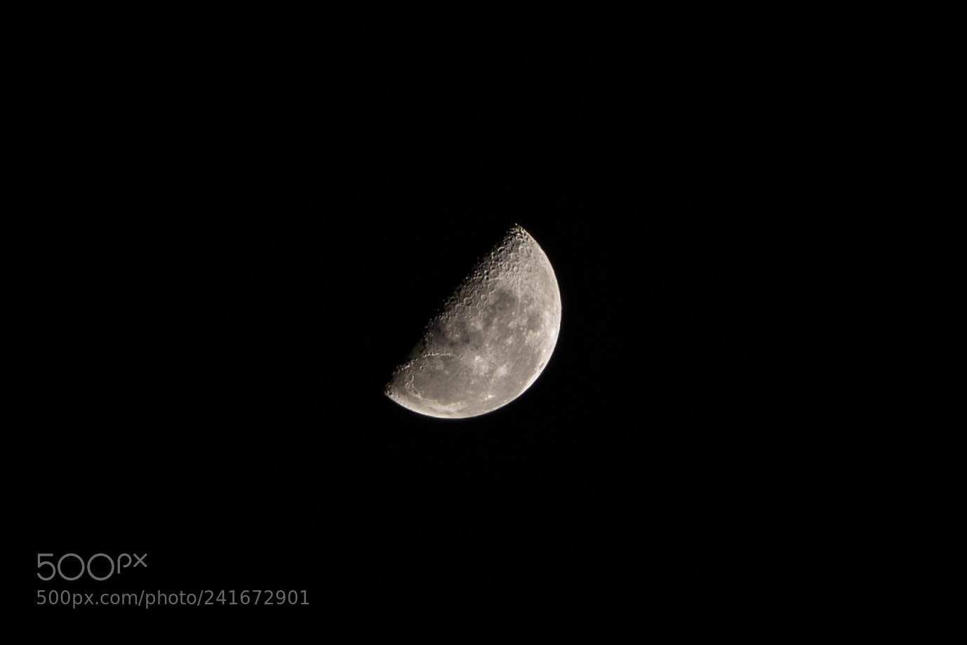 Sony a7 II sample photo. 20171210-dsc04942-2.jpg photography