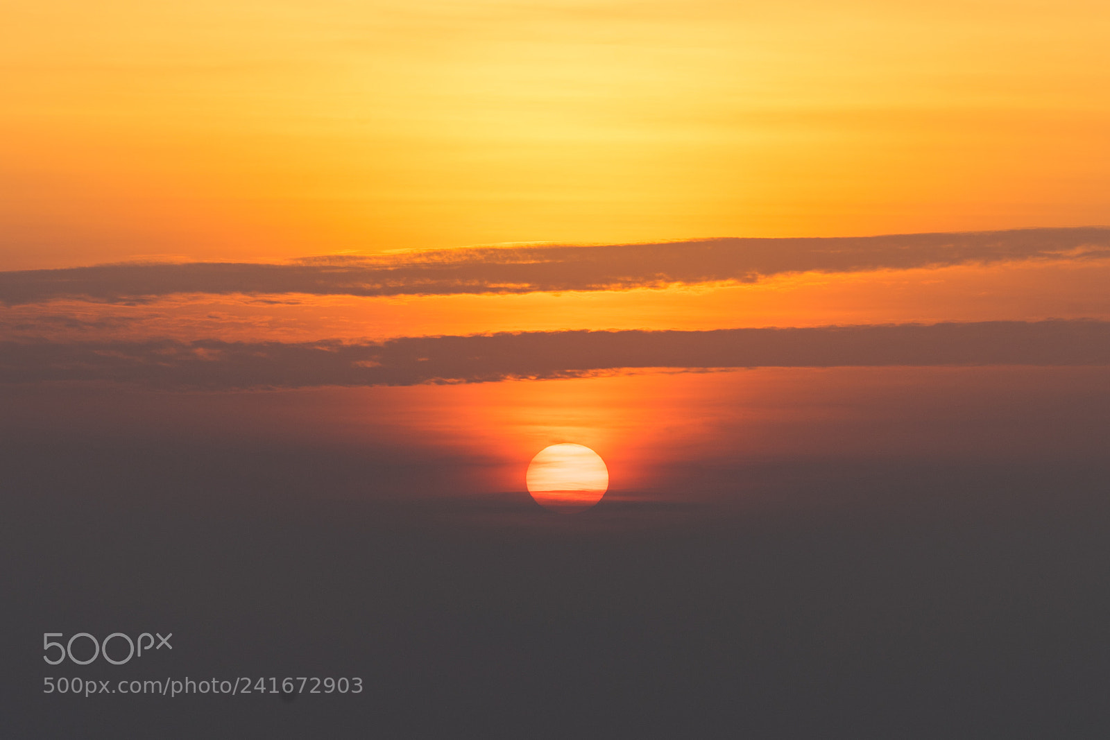 Sony a7 II sample photo. 20171210-dsc04976-2.jpg photography