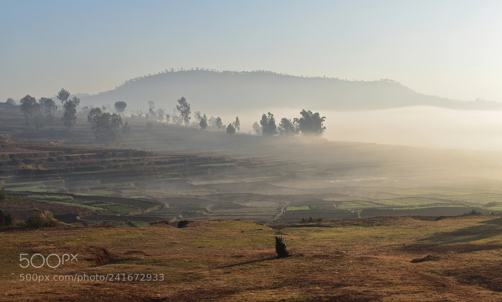 Nikon D5500 sample photo. Morning rise photography