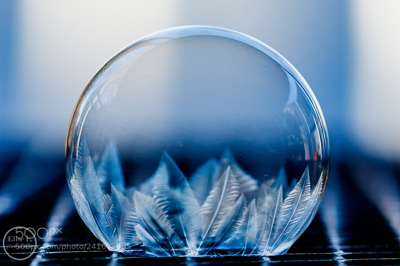 Canon EOS 6D Mark II sample photo. Frozen bubble photography