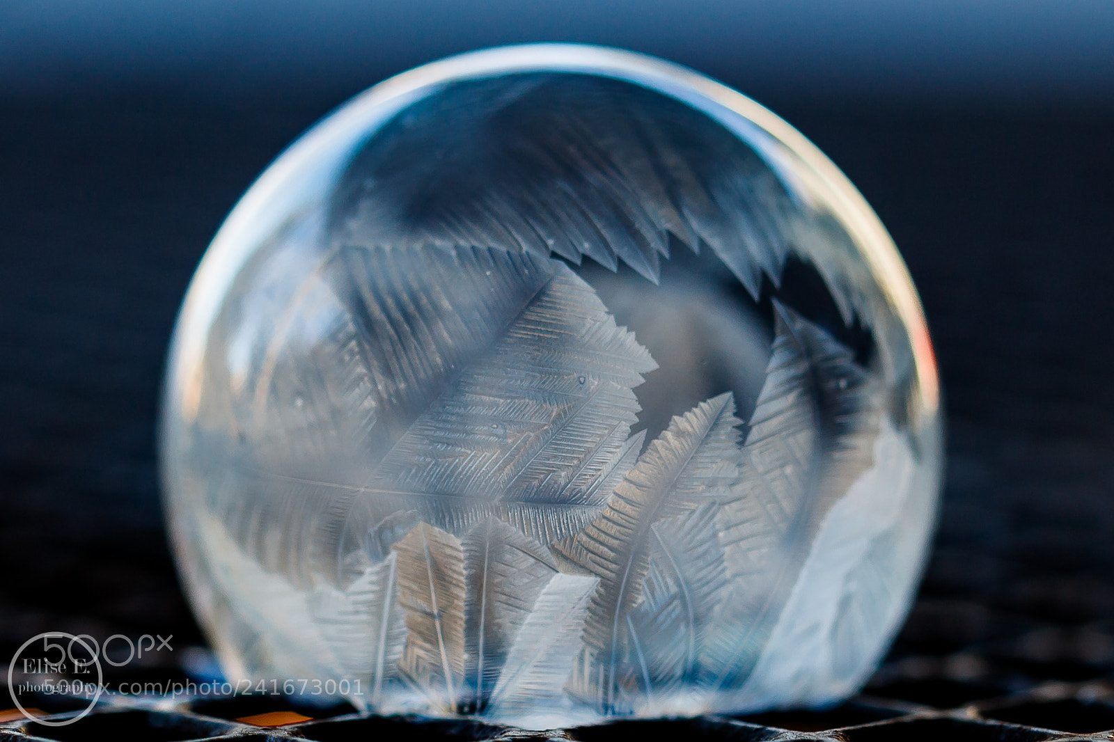 Canon EOS 6D Mark II sample photo. Frozen bubble photography
