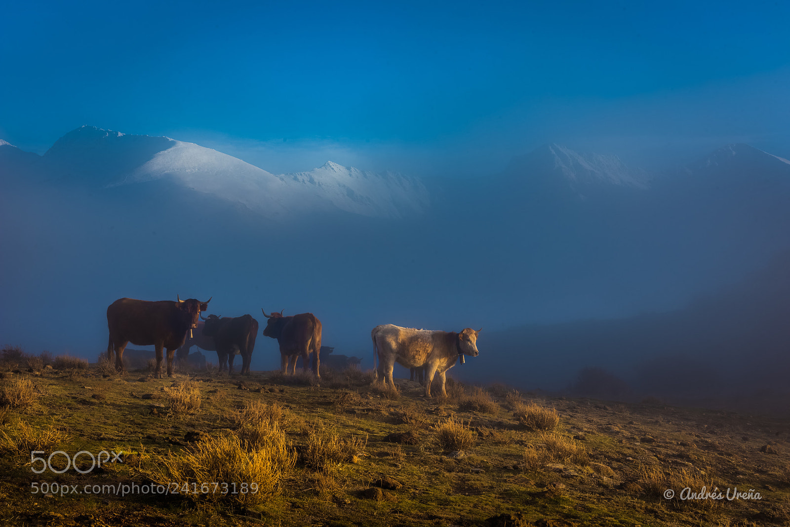 Nikon D810 sample photo. Mists in the sierra photography