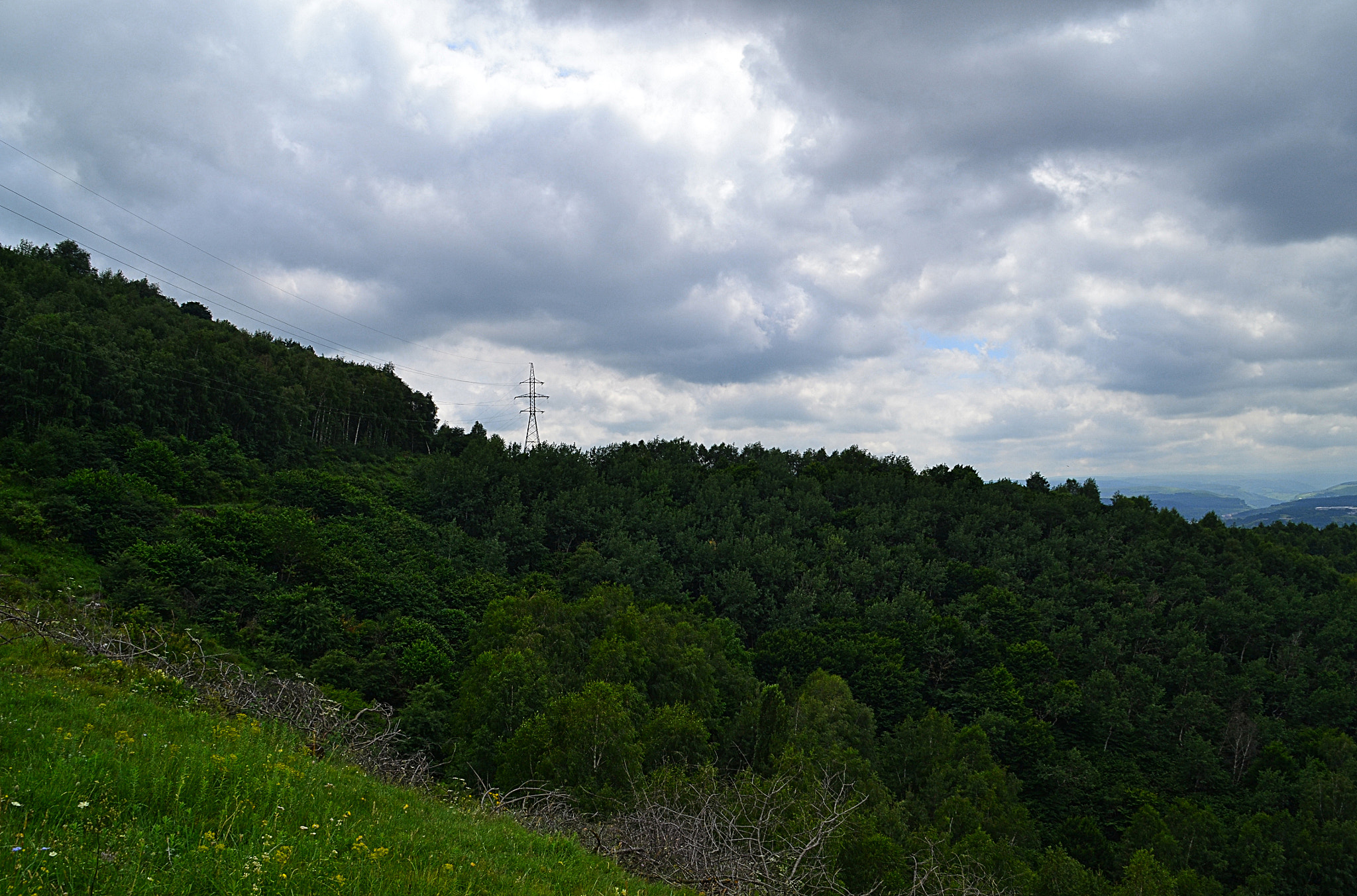 Nikon D3100 sample photo. Slope in aspens photography