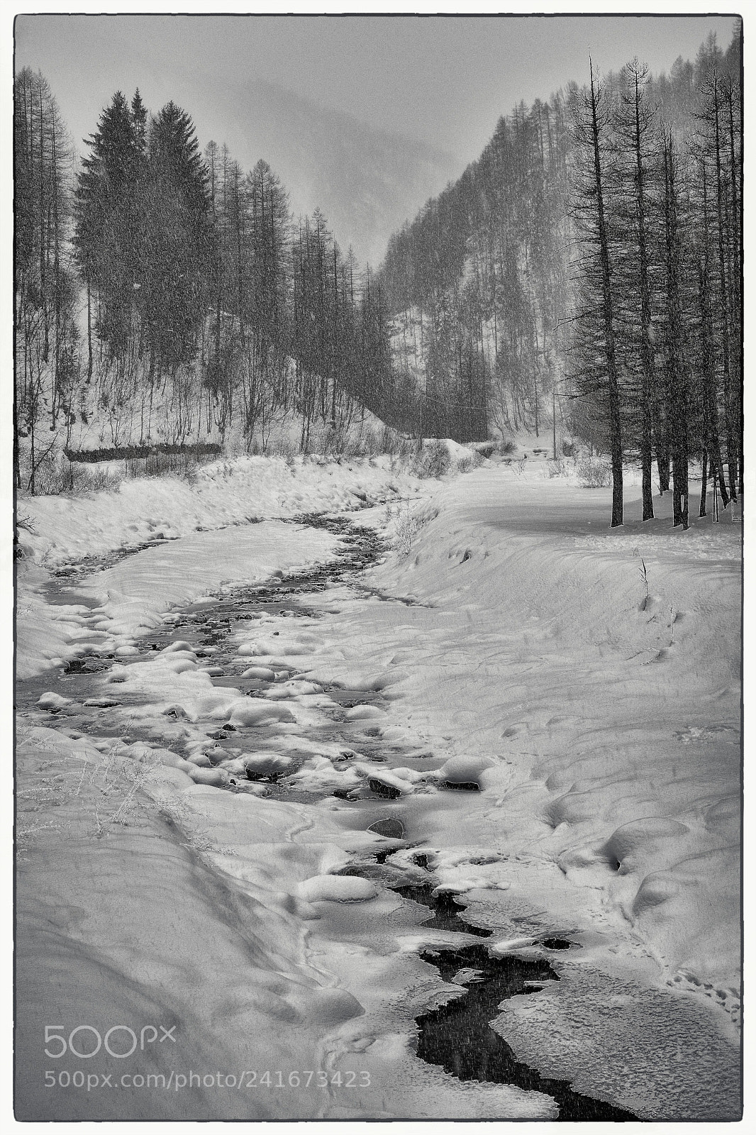 Nikon D500 sample photo. Winding stream photography