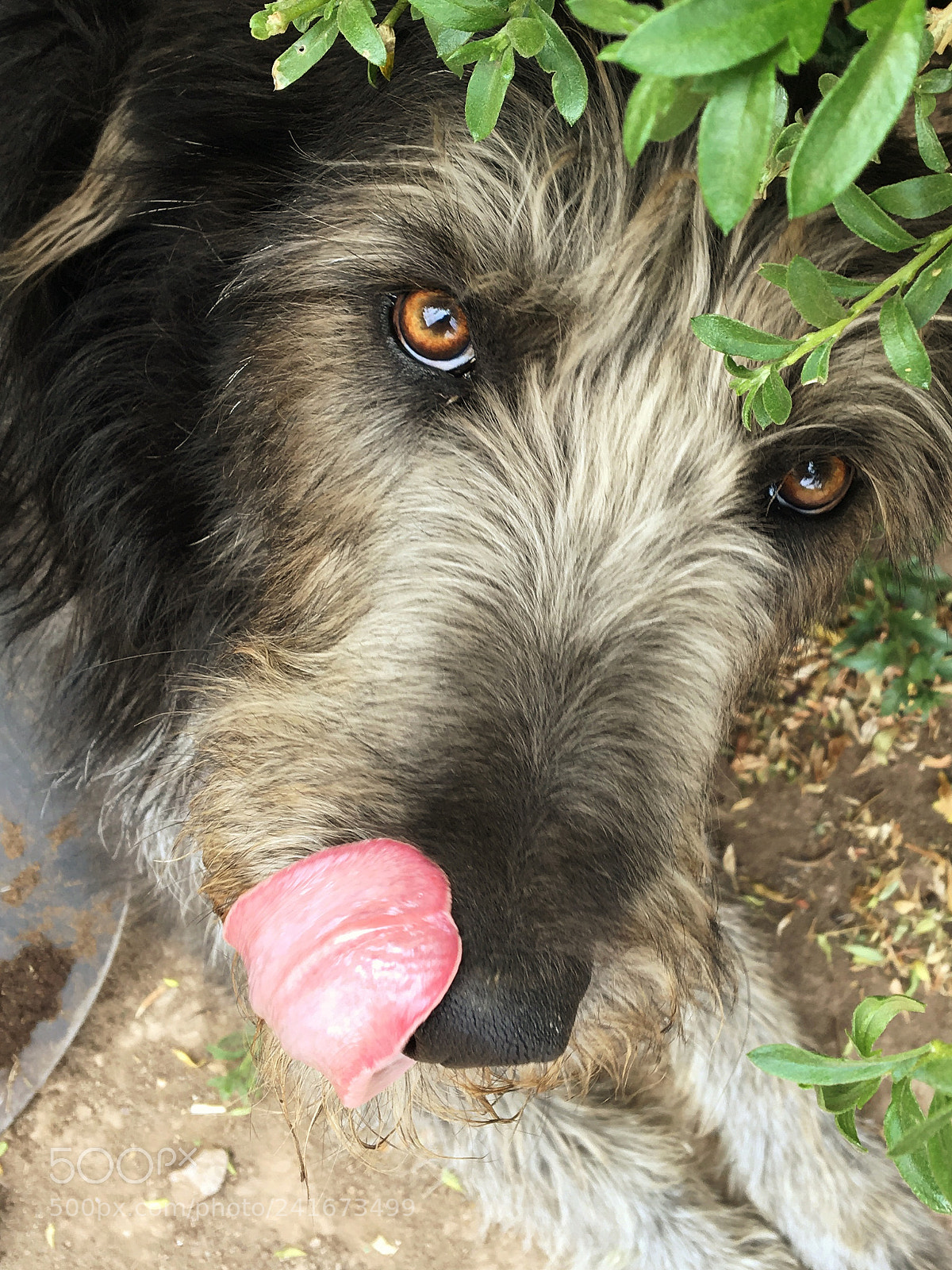 Apple iPhone 6s sample photo. Posando para la foto photography