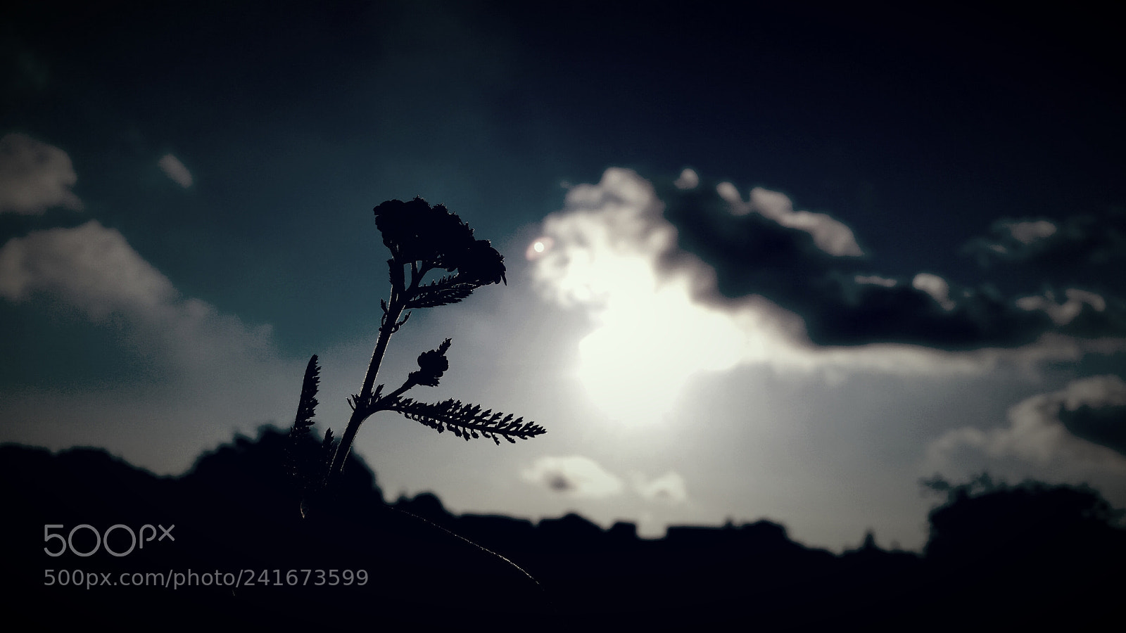 Samsung Galaxy S5 sample photo. Untitled photography