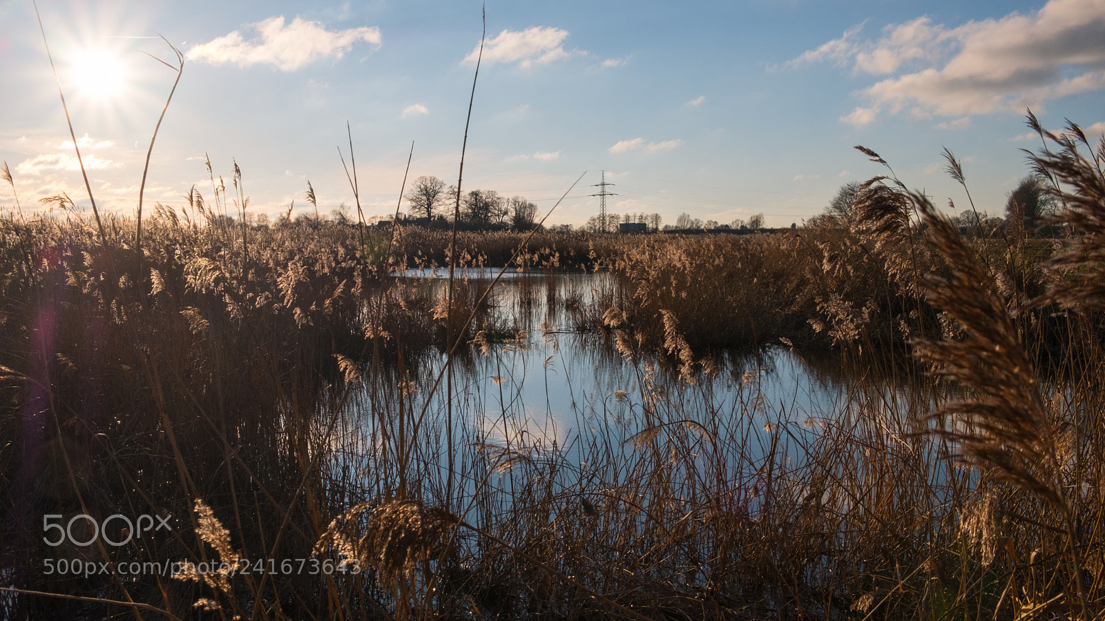 Fujifilm X-T2 sample photo. Rieselfelder windel reflexion photography