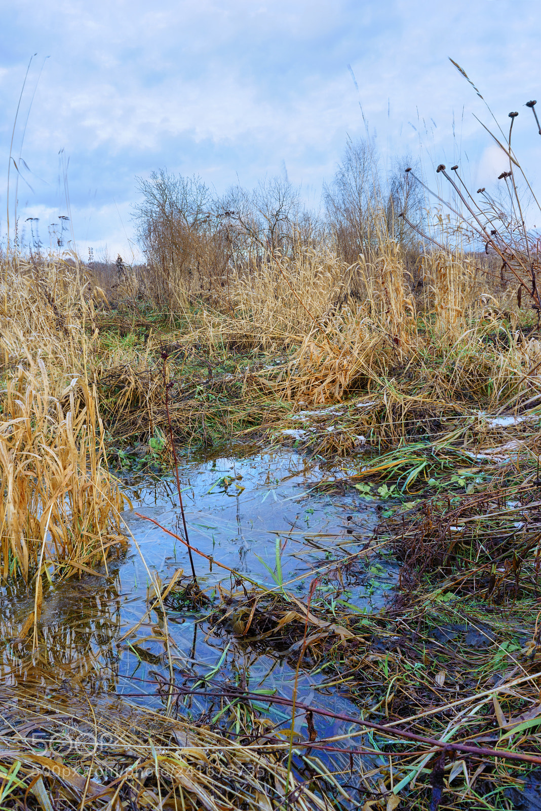 Sony a7R sample photo. And they call it photography