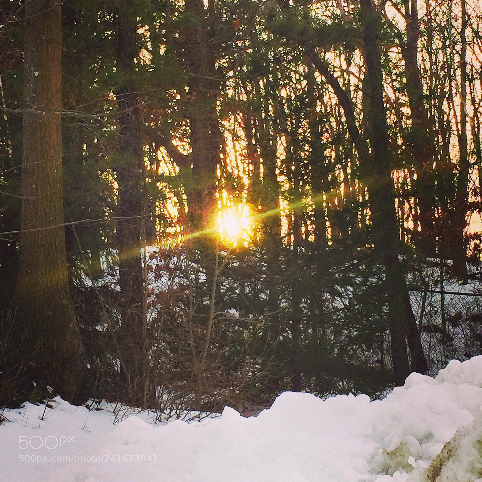 Apple iPhone 6 Plus sample photo. First snow photography