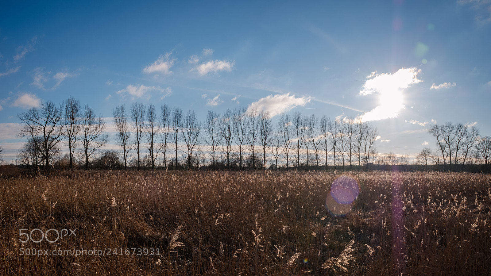Fujifilm X-T2 sample photo. Rieselfelder windel 2 photography