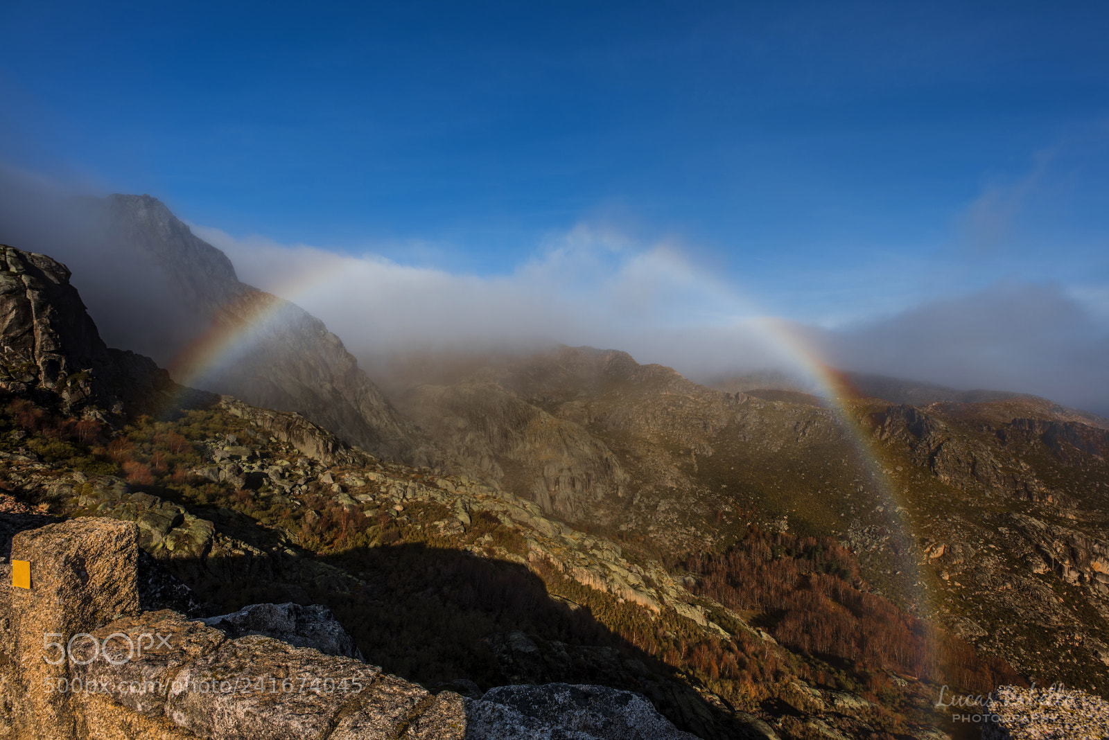 Nikon D810 sample photo. Over the rainbow photography